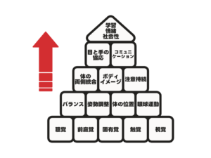 発達のピラミッド